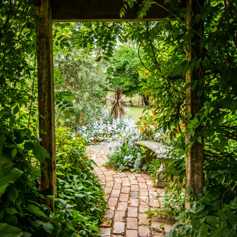 Transforming your outdoor space into a sustainable oasis​